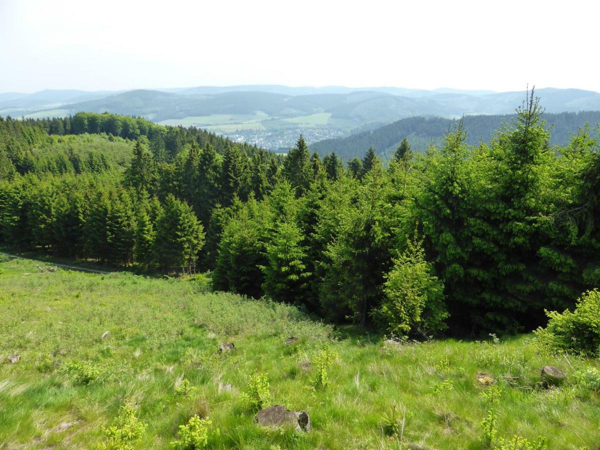 Küken Winterberg Daire Dış mekan fotoğraf